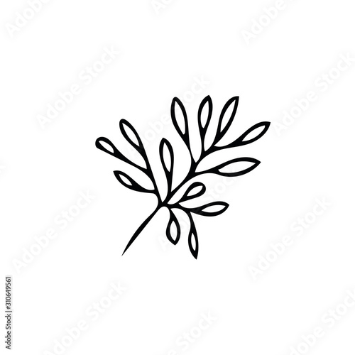leaf in hand drawn style. Scandinavian simple doodle style. summer, autumn, nature