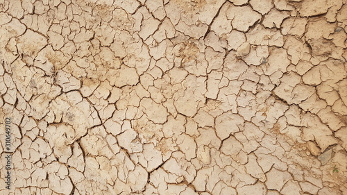 Billede på lærred dry cracked earth texture