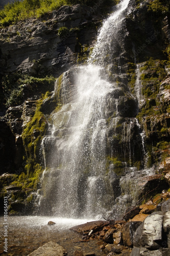 Obraz premium waterfall in forest