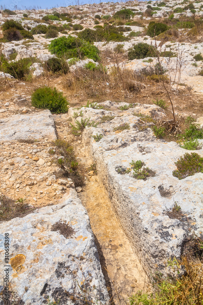 Obraz premium Cart ruts on the Malta island, known as Misrah Ghar il-Kbir or Clapham Junction. A complex network of tracks gouged in the rock.