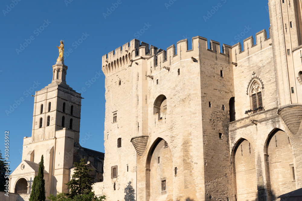 detail view of Palais des Papes and Notre dame des doms in Avignon city Provence France