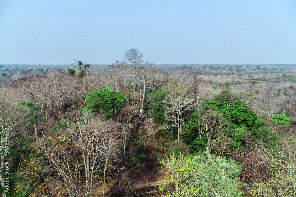 Koh Ker, Cambodia. Koh Ker, Cambodia.