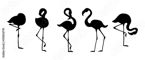 Flamingo silhouettes set. Black objects on white background. Flat vector illustration.