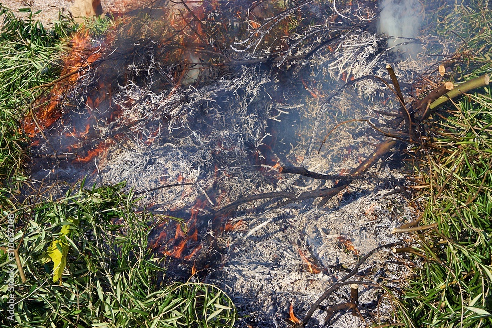 Fire burning twigs and branches. Closeup view Fire burning twigs and branches. Closeup view