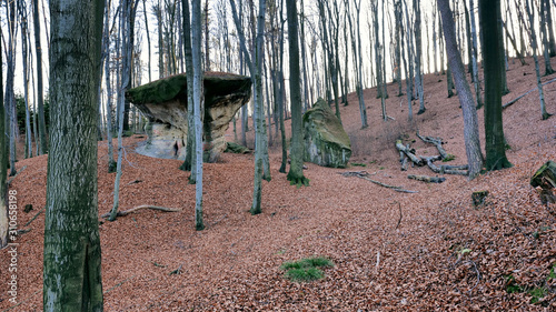 Rezerwat przyrody Kamień-Grzyb – rezerwat przyrody nieożywionej w województwie małopolskim w okolicach Nowego Wiśnicza
