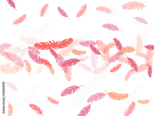 Flying feather elements airy vector design.
