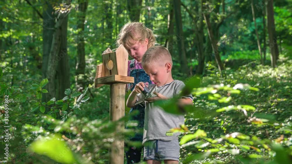 Children playing in the forest an adventure game where they collect clues and solve puzzles, brother and sister pair Children playing in the forest an adventure game where they collect clues and solve puzzles, brother and sister pair