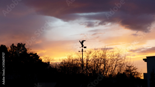Weather vane of the light of the rising sun