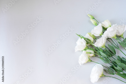 Beautiful bouquet white gentian flowers on a grey background. Free space for text. Romantic date, a gift. Bouquet for tender bride girl, witnesses. Declaration of love. White fresh branch 