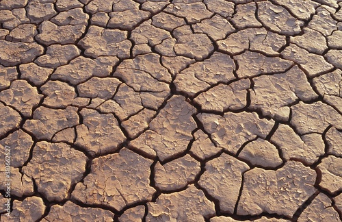 Cracked earth in desert full frame