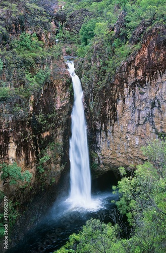 Australia Queensland Waterfall in rainforest