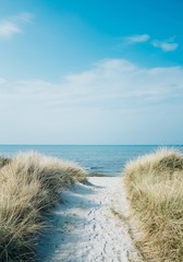 Vertical shot of a pathway leading to the beach at the ocean shore