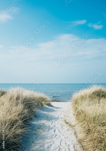 Fototapeta Naklejka Na Ścianę i Meble -  Vertical shot of a pathway leading to the beach at the ocean shore