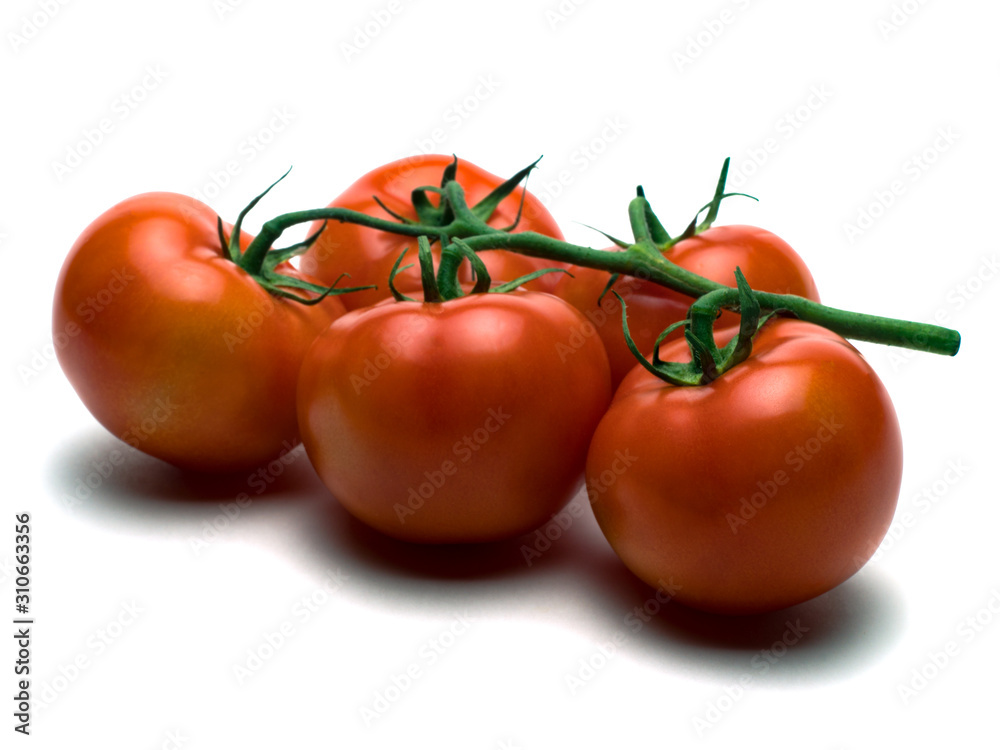 Graphic resources isolated object vegetable tomato Graphic resources isolated object vegetable tomato