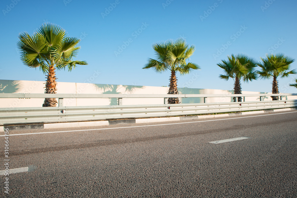Tropical highway. Road and Palm trees.