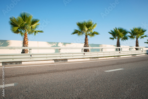 Tropical highway. Road and Palm trees.