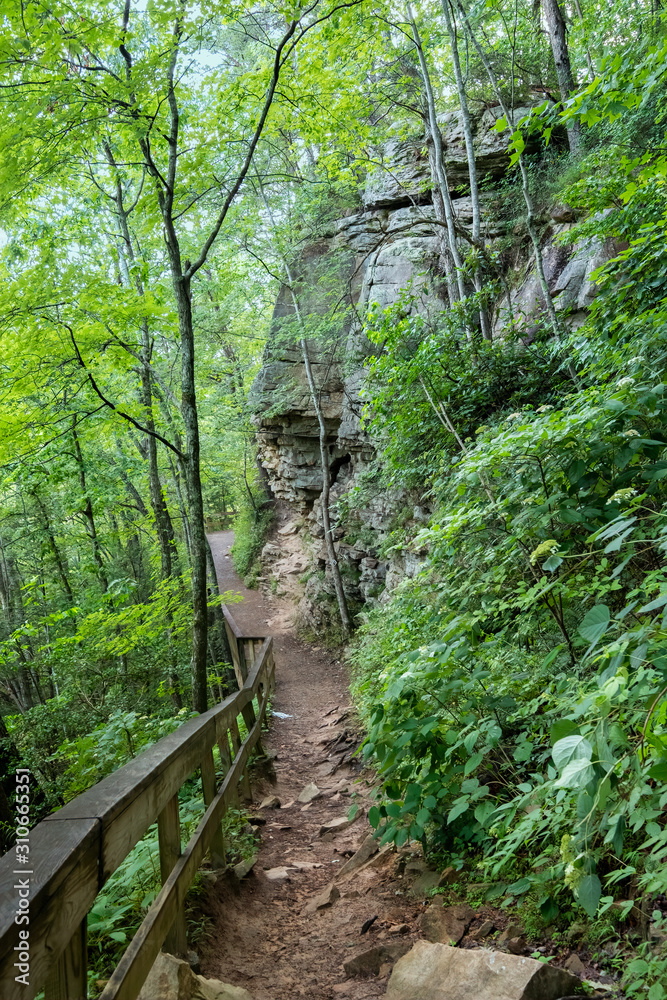 Cherokee Falls Trail, Cloudland Canyon State Park, Georgia, USA Cherokee Falls Trail, Cloudland Canyon State Park, Georgia, USA