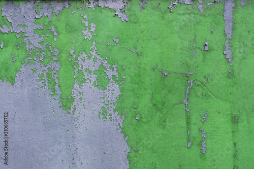 Old green cracket painted wall with grey colors