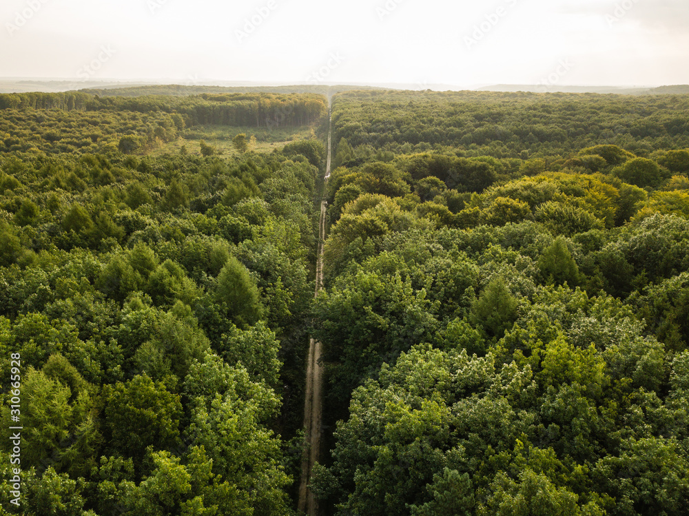 Aerial view of a provincial road passing through a forest