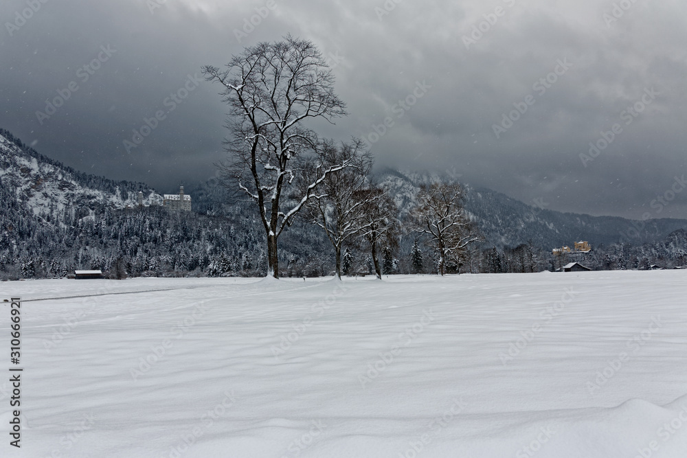 Panoramic view of Neuschwanstein Castle and Hohenschwangau Castle, Bavaria Germany Panoramic view of Neuschwanstein Castle and Hohenschwangau Castle, Bavaria Germany