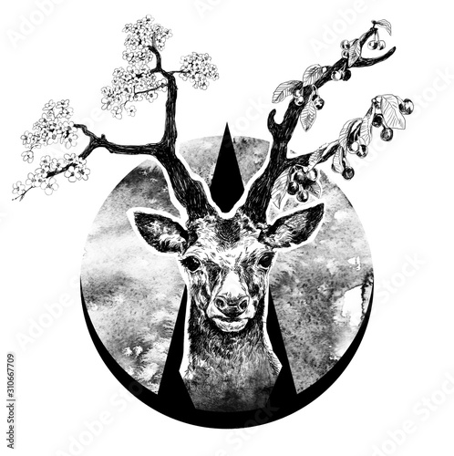 deer with floral antlers isolated photo