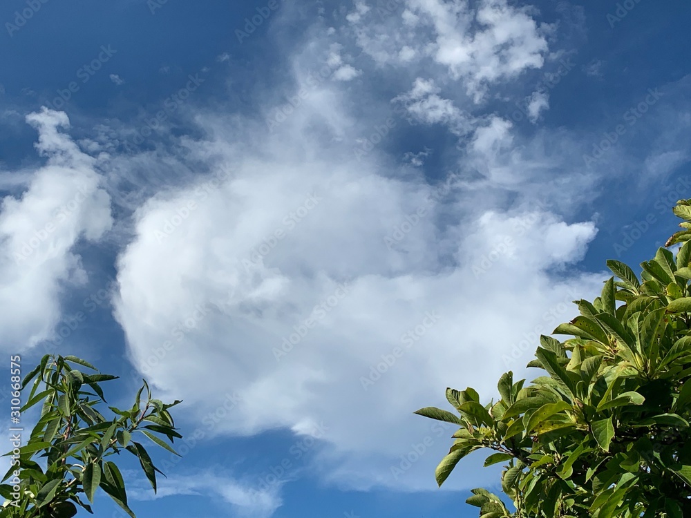 High cirrus cloud on an otherwise sunny day High cirrus cloud on an otherwise sunny day