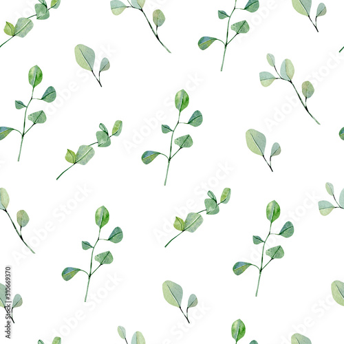 Greenery watercolor seamless pattern hand painted silver dollar eucalyptus. Nature eco design branches and leaves. Garden illustration for wrapping paper, textile fabric, rustic wallpaper background.
