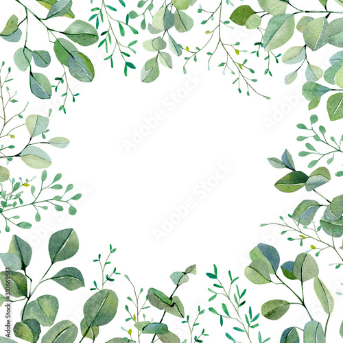 Watercolor hand painted greenery plants and nature eco design banner. Floral branches and leaves silver dollar eucalyptus and garden plants. Illustration for design, card, banner and party card.