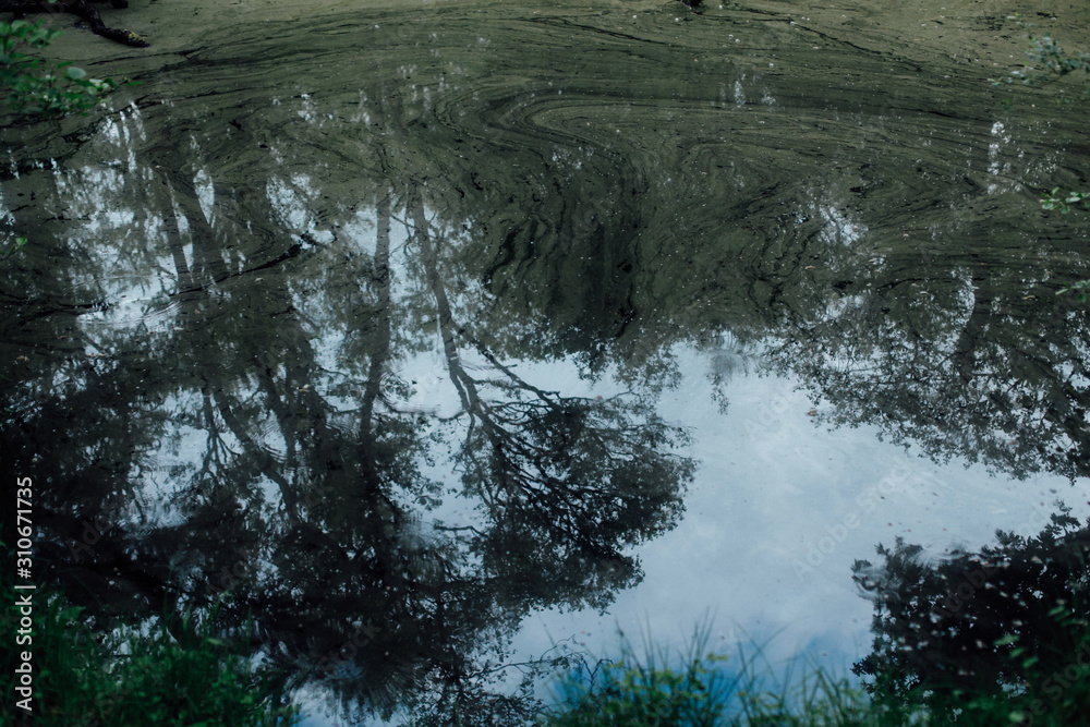Water Reflection Water Reflection