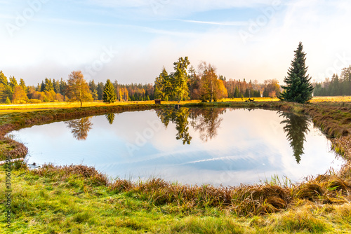 Trees reflected in the pond. Kladska peat bog National Reserve near Marianske Lazne, Czech Republic