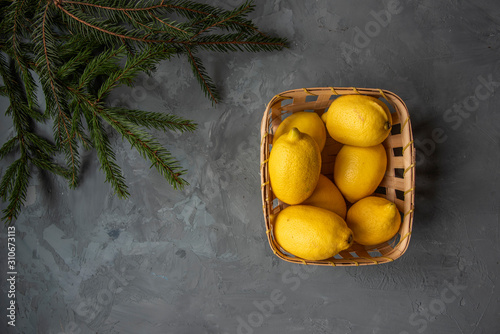 Lemons in a basket under a Christmas tree branch. Top view photo