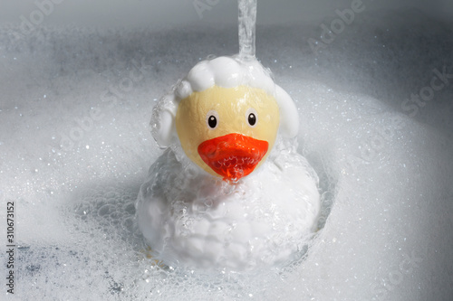 A rubber duck in a sheeps costume. Funny toy for the bathroom. Bath foam