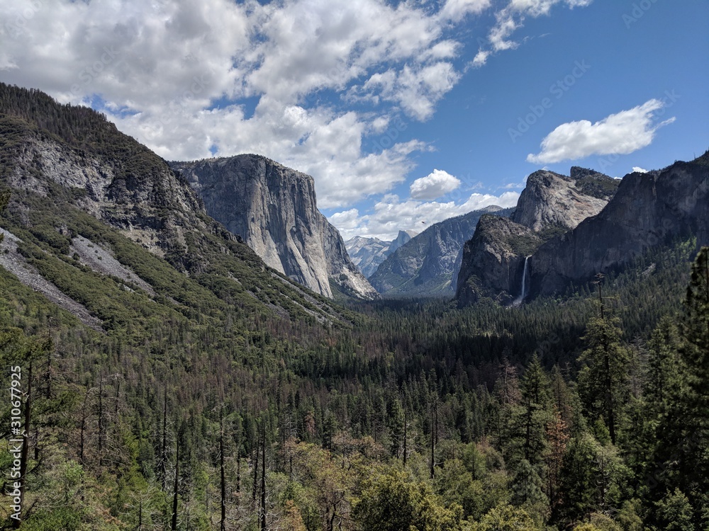 Yosemite valley in Summer