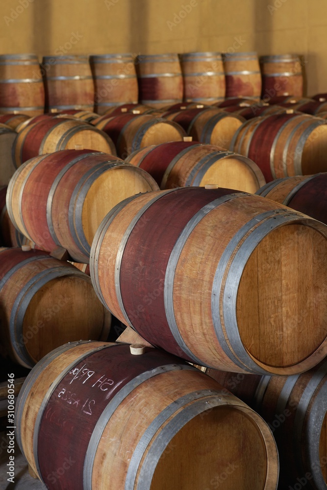 Wine Casks In Cellar