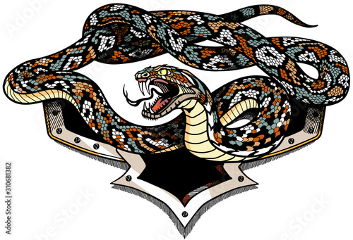 Vector illustration of snake with an open mouth on white background. Aggressive serpent. Tattoo, shirts design template illustration