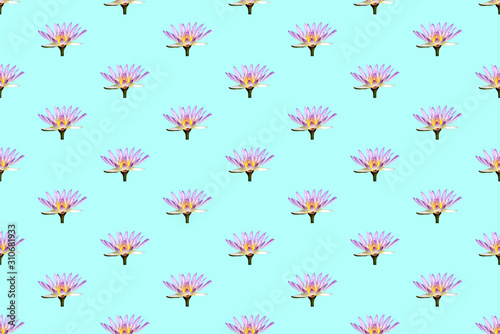 Fototapeta Naklejka Na Ścianę i Meble -  Seamless pattern image of lotus flowers on pastel color