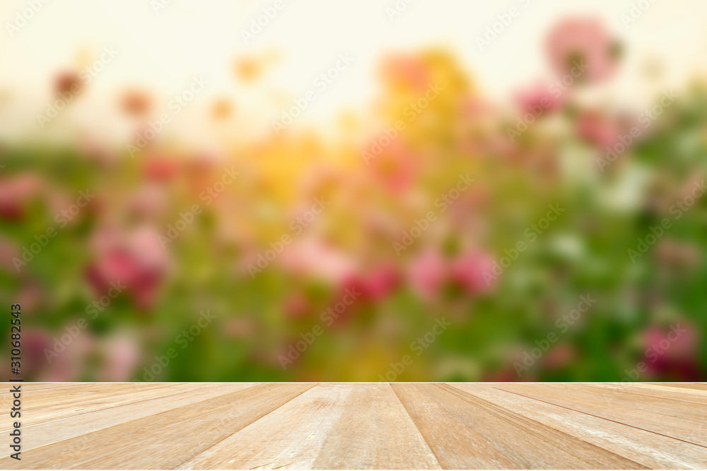 Empty top wooden table on soft blur cosmos flower filed blooming with sunset Empty top wooden table on soft blur cosmos flower filed blooming with sunset