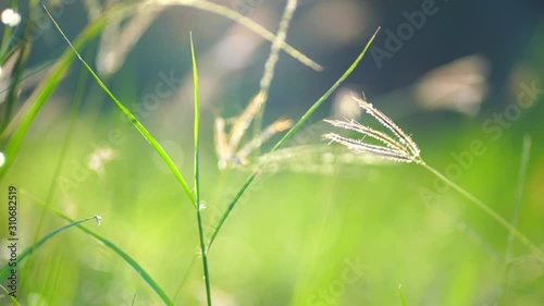 Beautiful meadow summer natural landscape with natural light sunset of the sun with dramatic yellow and orange sky. Outdoor travel on wild nature. Relax zone with fresh air and water.