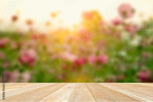 Empty top wooden table on soft blur cosmos flower filed blooming with sunset