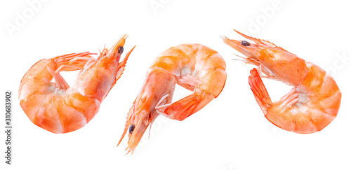 Boiled shrimp isolated on white isolated Collection. shrimp Clipping Path Image stack Full depth of field macro shot