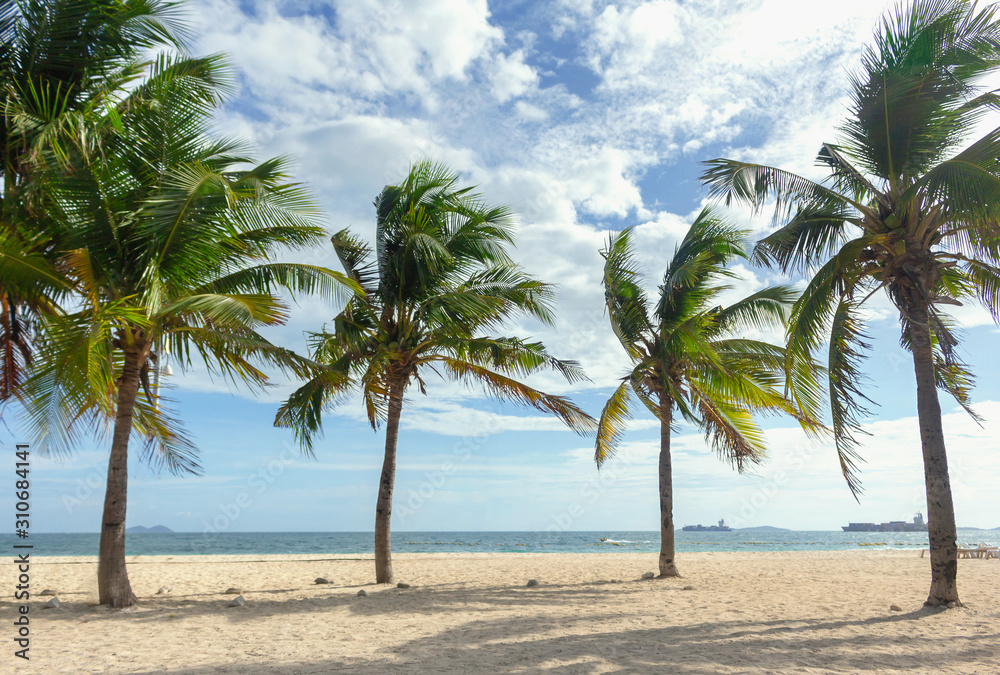 Fototapeta premium beautiful beach and blue skybackground