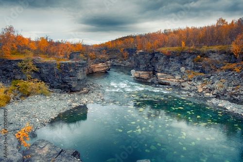 Valokuva river canyon in Abisko National Park in Sweden during golden autumn