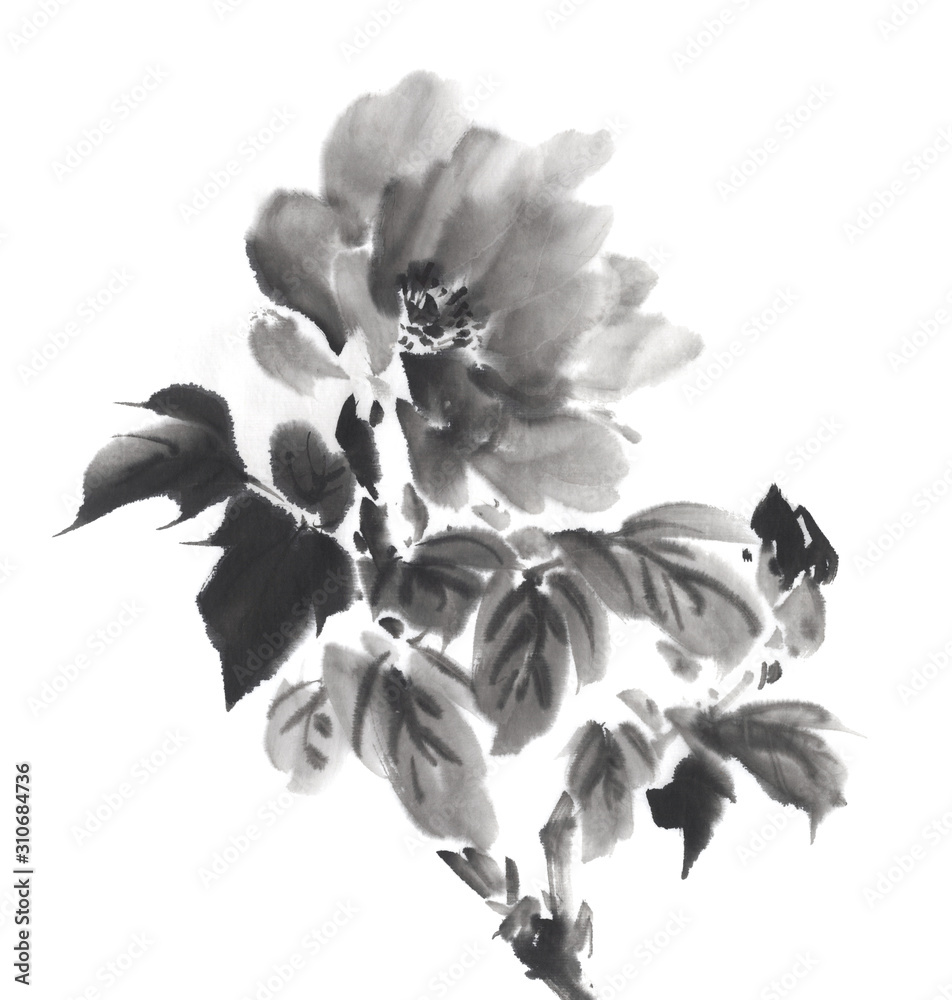 牡丹 イラスト 水墨調 Stock イラスト Adobe Stock