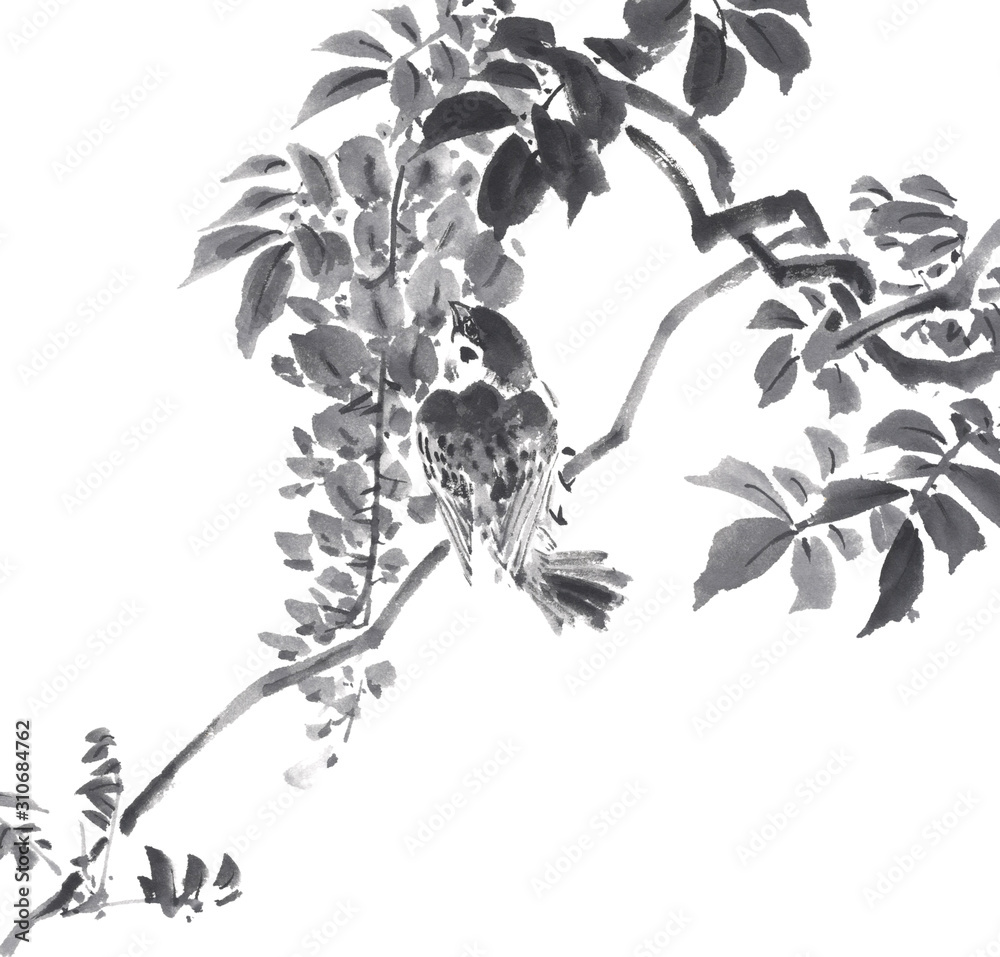 藤に雀 イラスト 水墨調 Stock イラスト Adobe Stock 藤に雀 イラスト 水墨調 Stock イラスト Adobe Stock