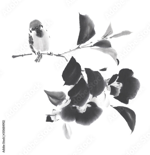 雀に椿 イラスト 水墨調 Stock イラスト Adobe Stock