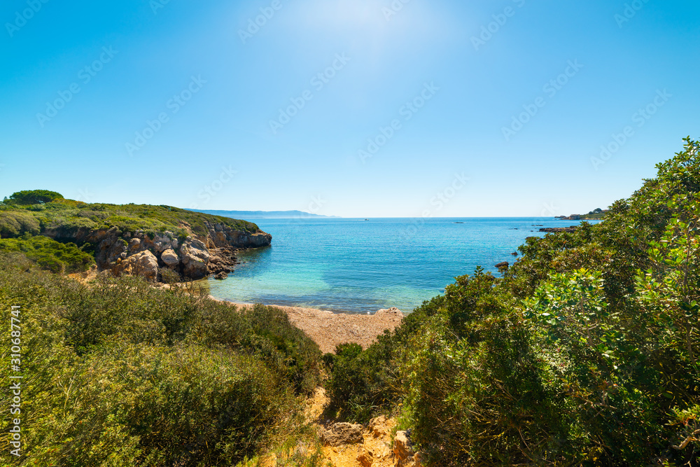 Green plants and blue sea in Alghero shore