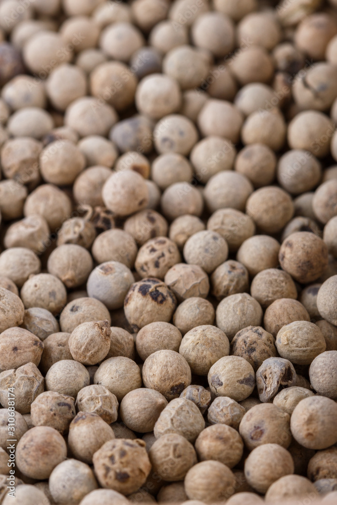 white peppercorns seed on white acrylic background white peppercorns seed on white acrylic background