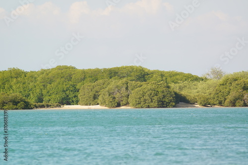  Beach with white sand and mangrove plants that are still hidden from the crowd