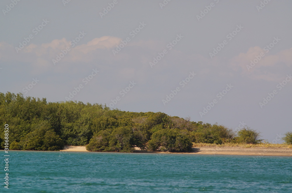 Beach with white sand and mangrove plants that are still hidden from the crowd Beach with white sand and mangrove plants that are still hidden from the crowd