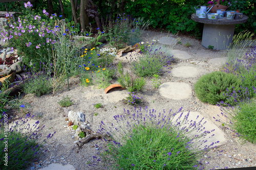 Lavendel und Kräuterbee, Neubepflanzung im Sandbeet